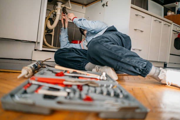 Best Toilet Repair Services  in Vla Park, IL