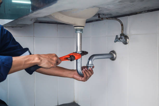 Best Clogged Drain Plumber  in Vla Park, IL
