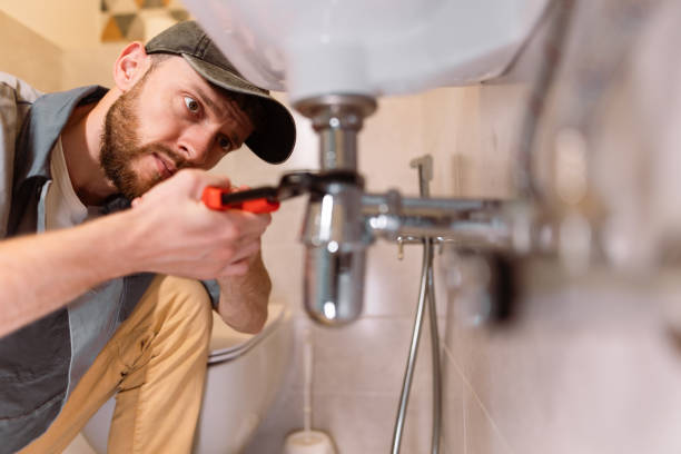 Best Affordable Plumber Near Me  in Vla Park, IL
