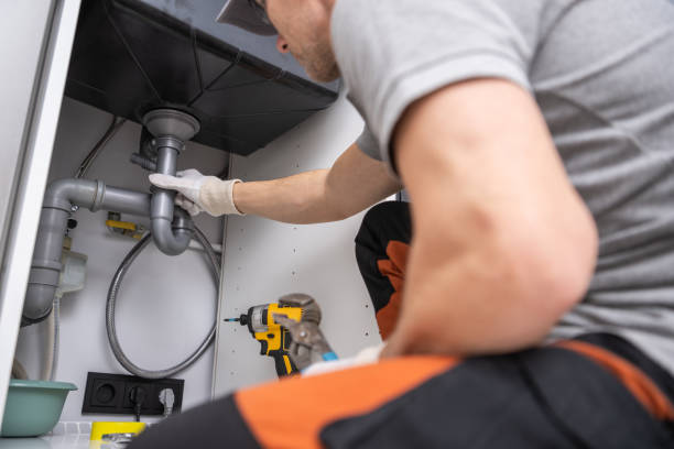 Best Septic Systems  in Vla Park, IL