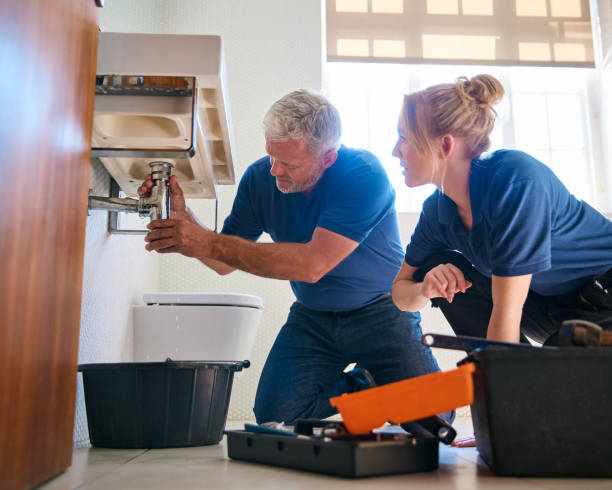 Best Gas Line Repair  in Vla Park, IL